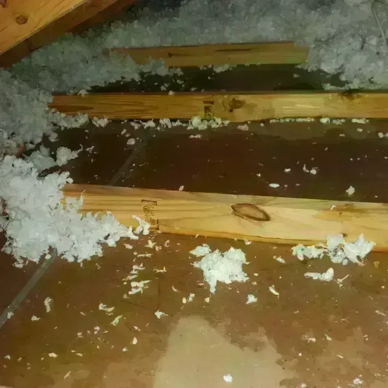 Attic Water Damage in Coshocton County, OH