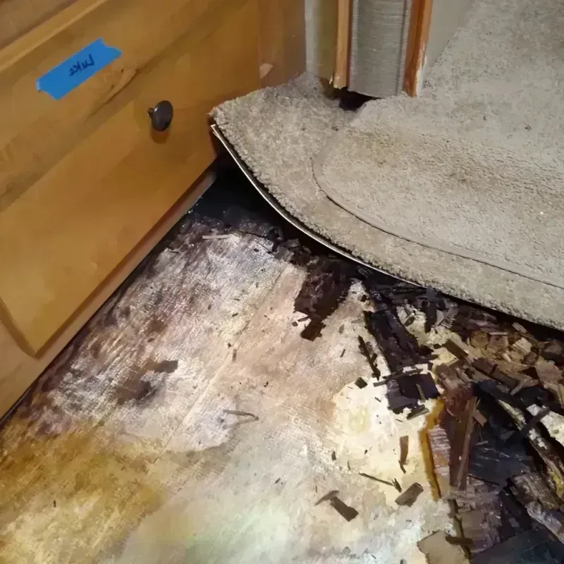 Best Wood Floor Water Damage Service in Coshocton County, OH